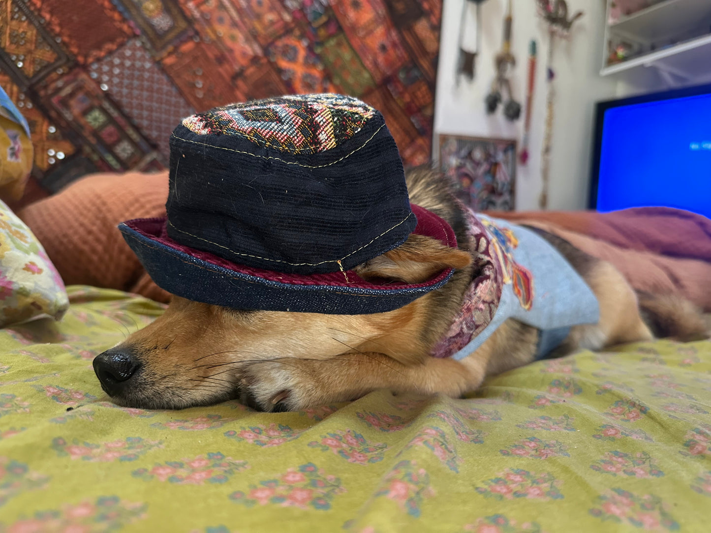 DRE DOG Bucket Hat w/Ear Holes ~ Small