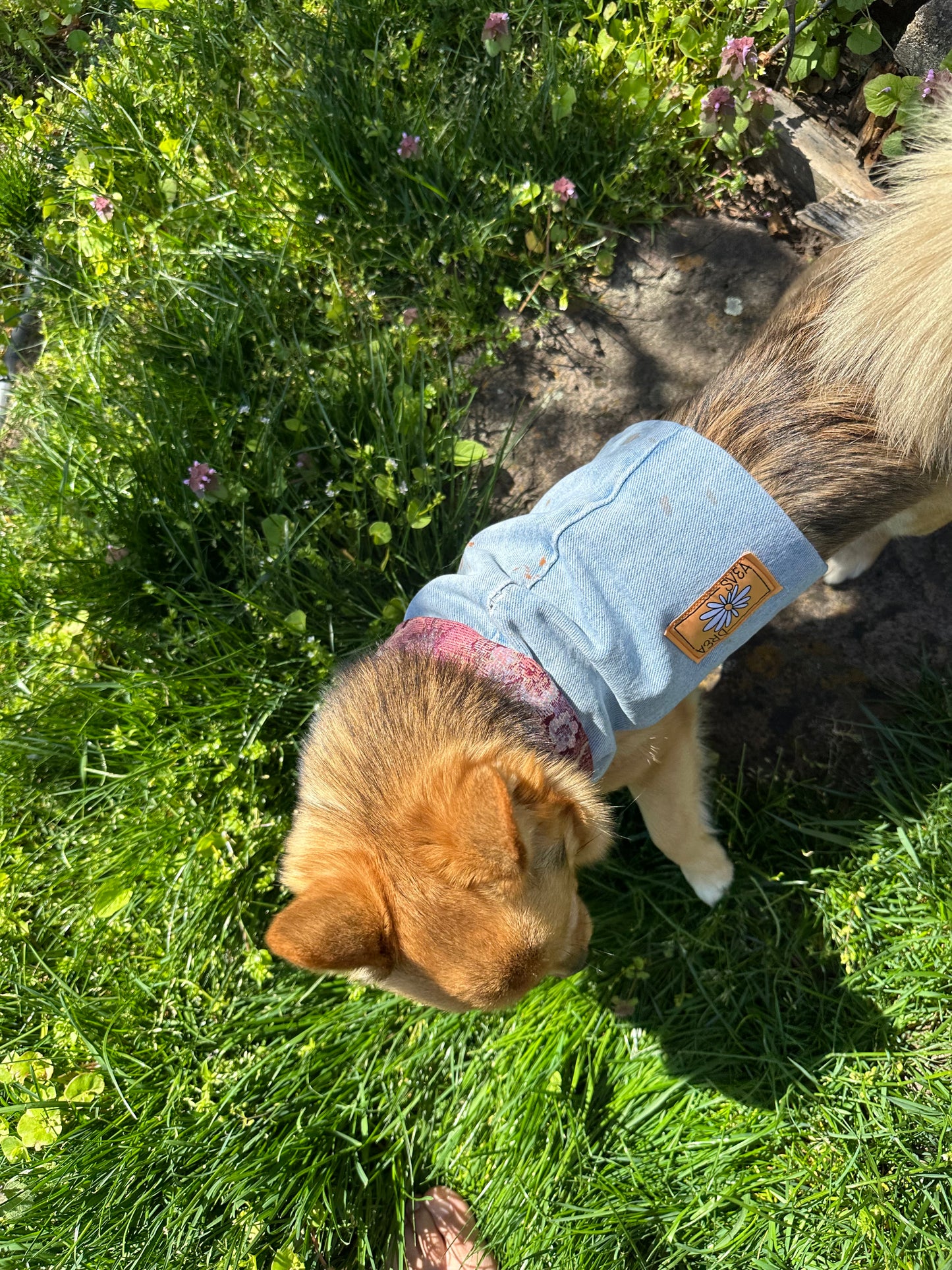 DRE DOG Reversible Crop Top ~ Small