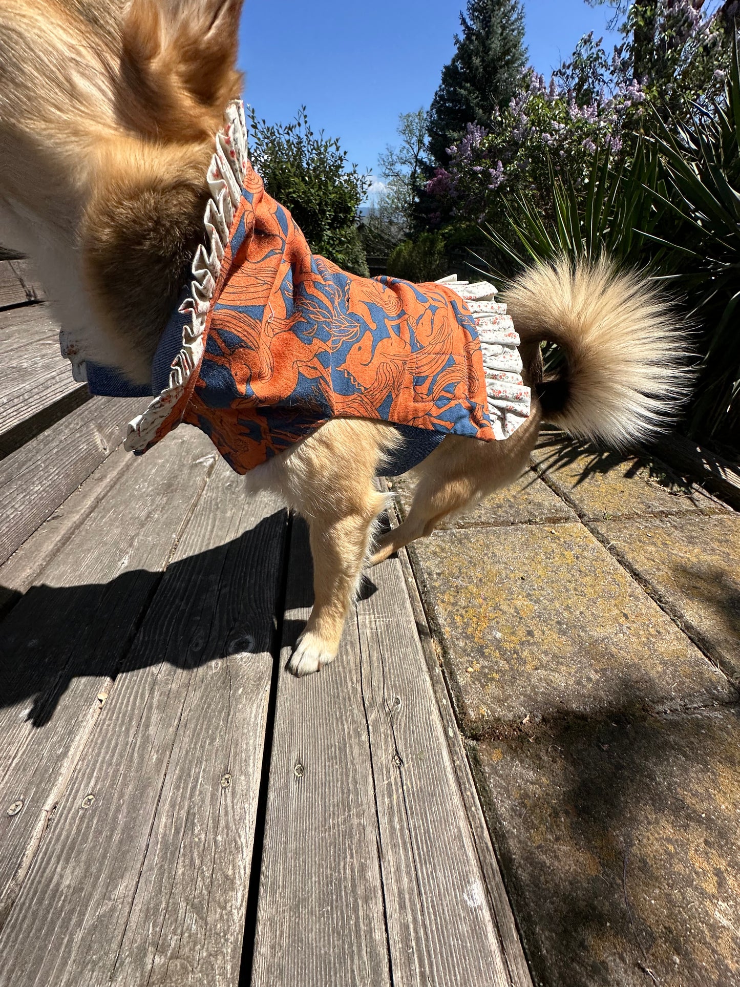 Ruffled Reversible Dog Crop Top w/Swag Collar ~ Small