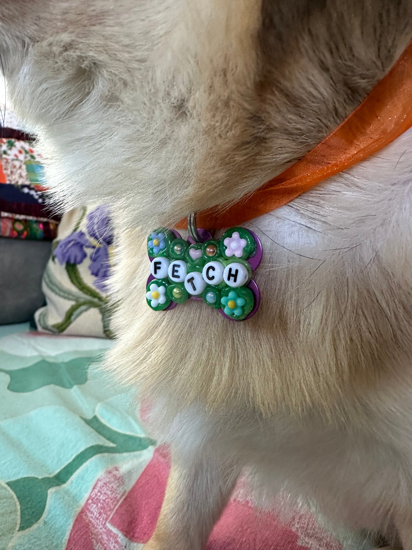 Fetch Dog Tag