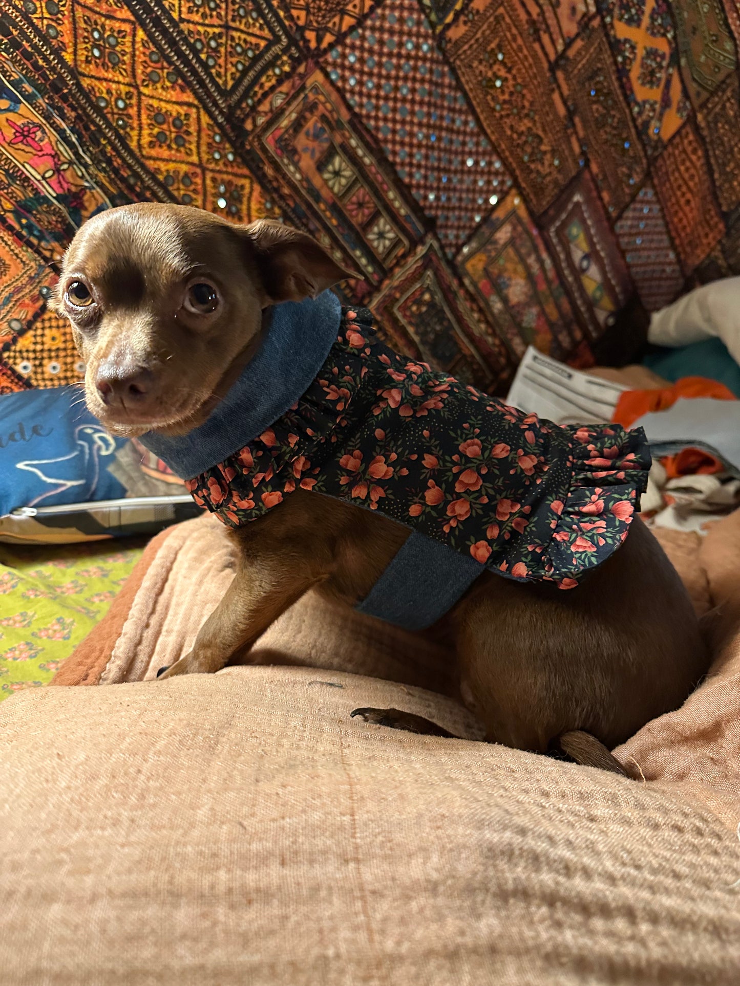 Ruffled Reversible Dog Crop Top w/Swag Collar ~ Xsmall