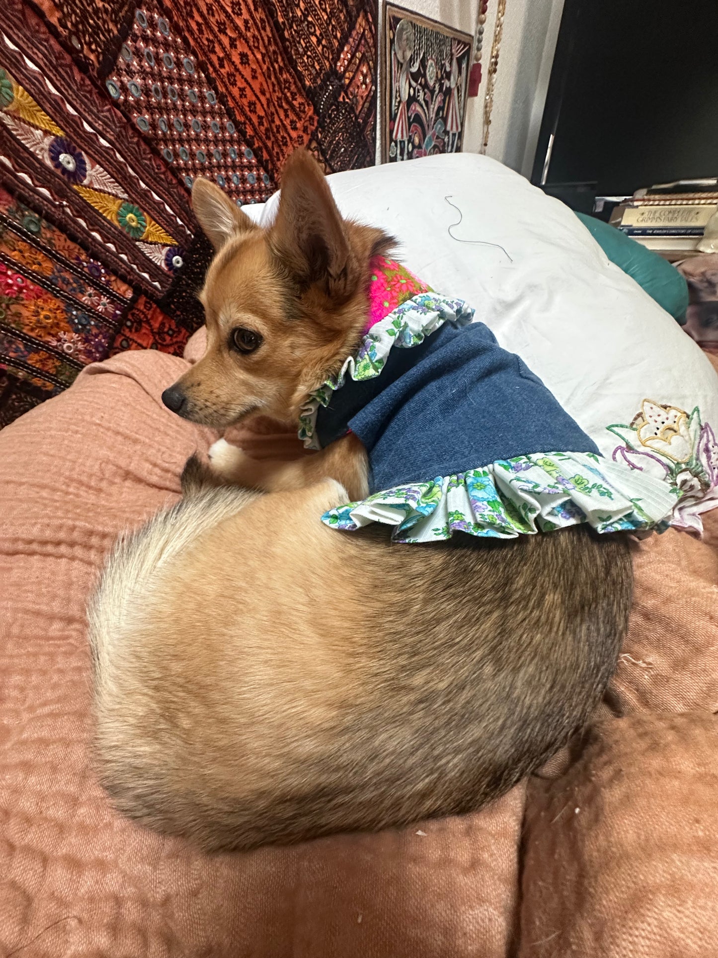Ruffled Reversible Dog Crop Top w/Swag Collar ~ Small