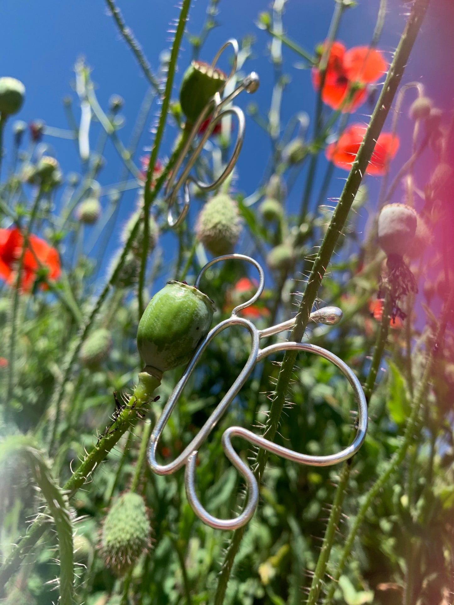 Sister Flutterby Hoops