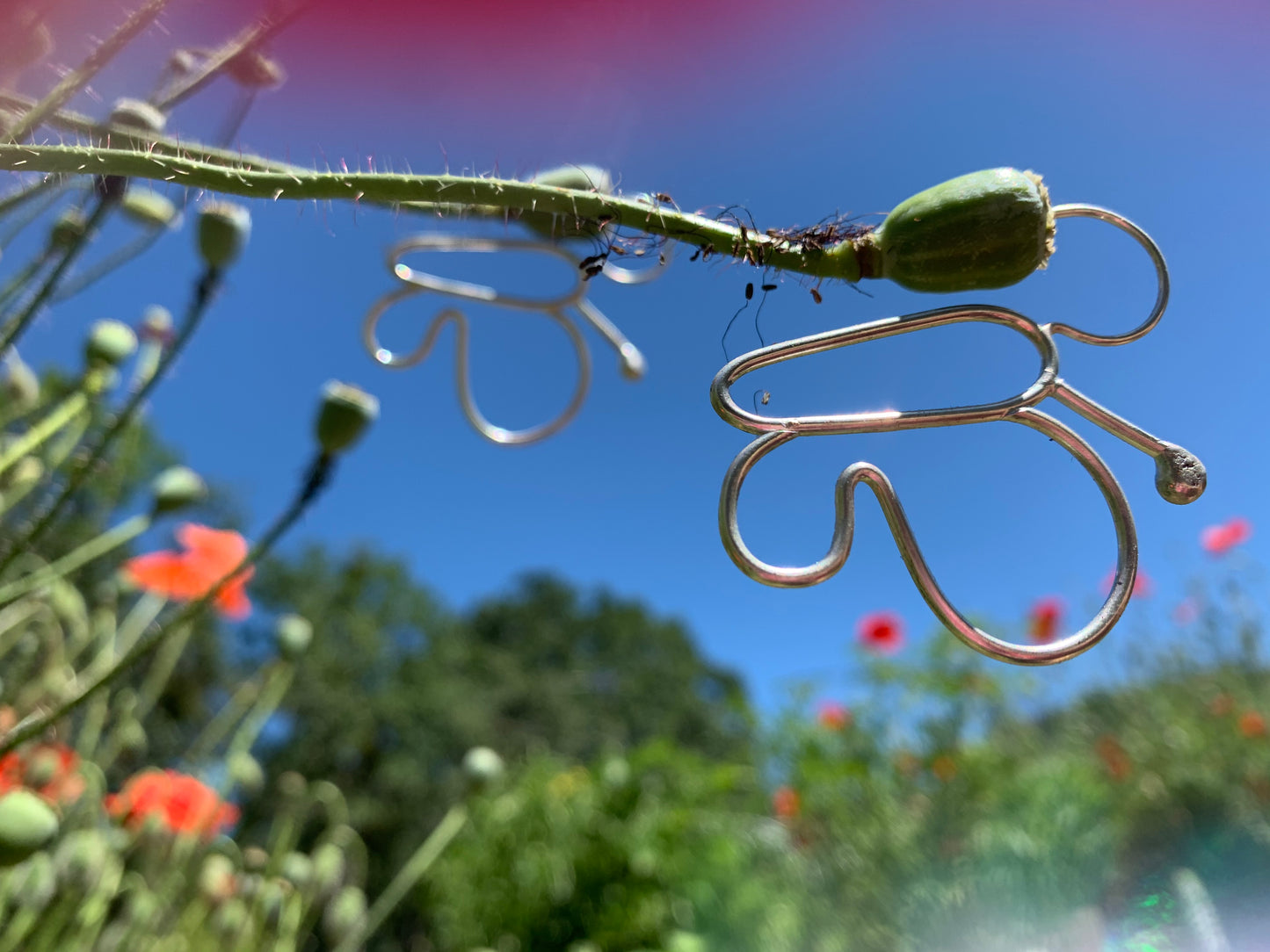 Sister Flutterby Hoops