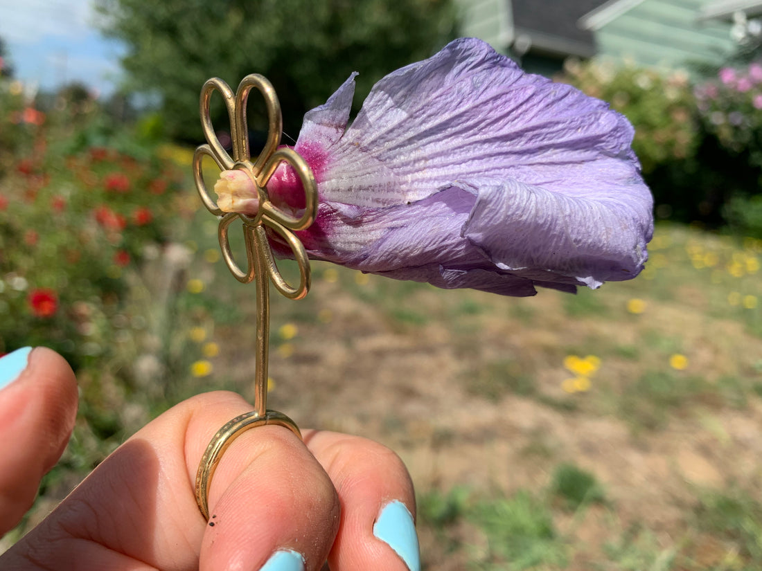Portlandia August 2019