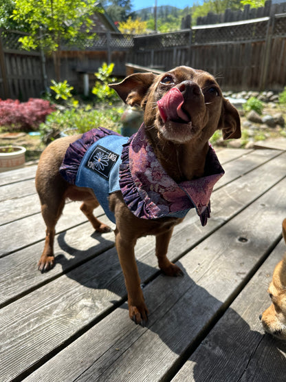 Ruffled Reversible Dog Crop Top w/Swag Collar ~ Xsmall