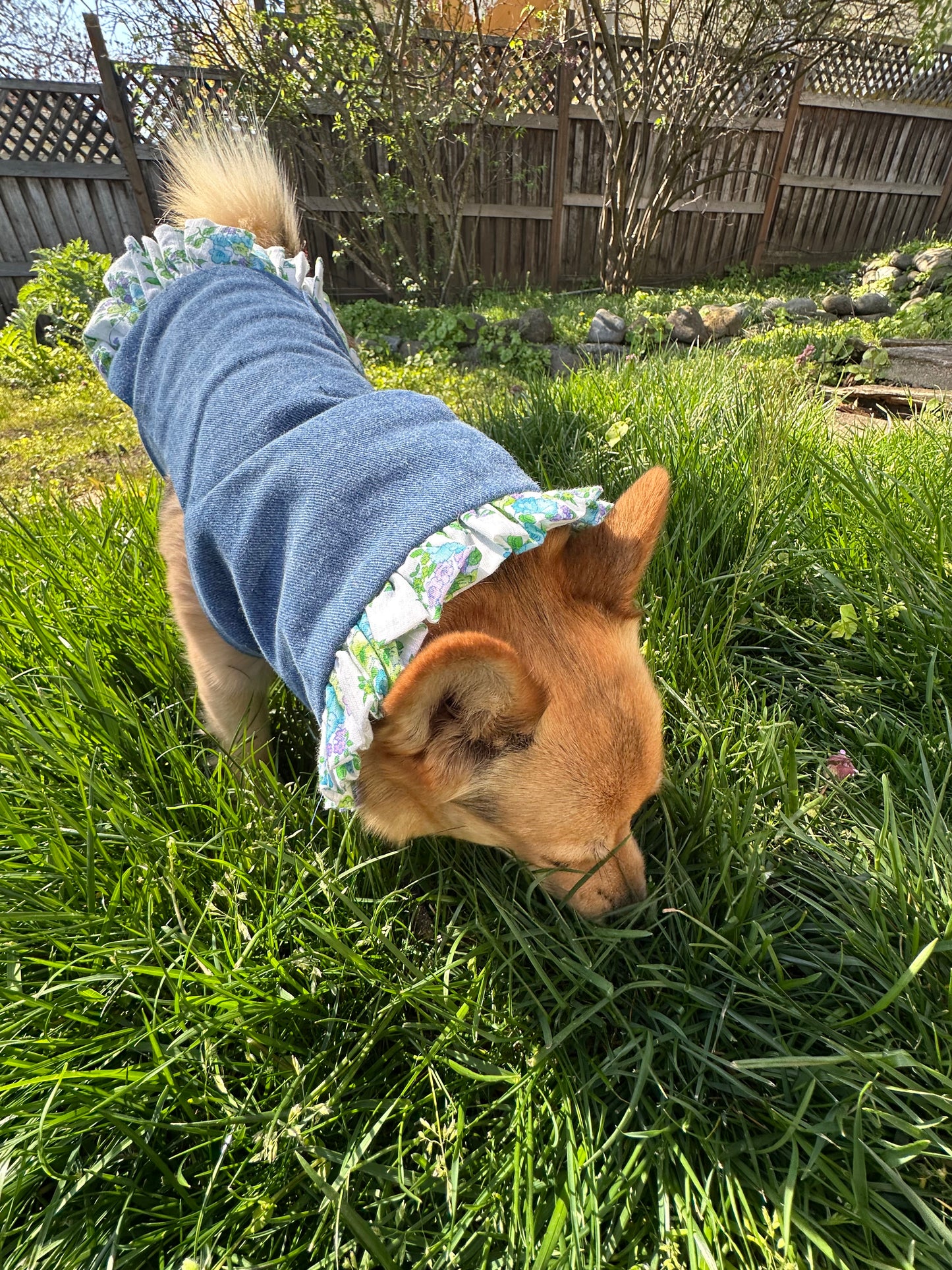 Ruffled Reversible Dog Crop Top w/Swag Collar ~ Small