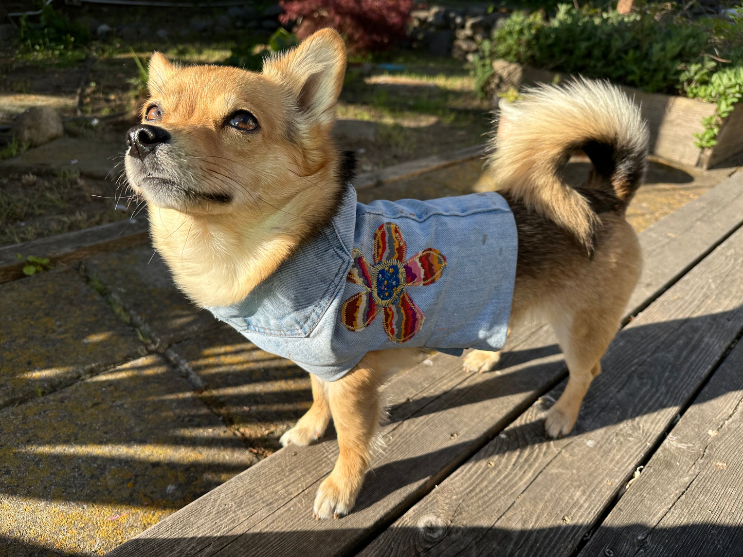 DRE DOG Reversible Crop Top w/Appliqué ~ Small