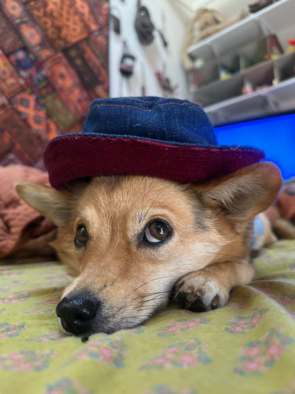 DRE DOG Bucket Hat w/Ear Holes ~ Small