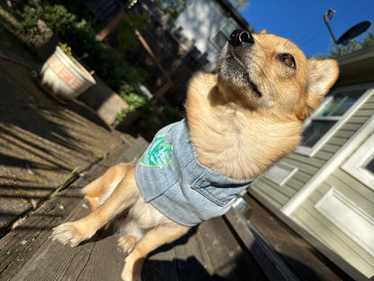 DRE DOG Reversible Crop Top w/Appliqué ~ Small