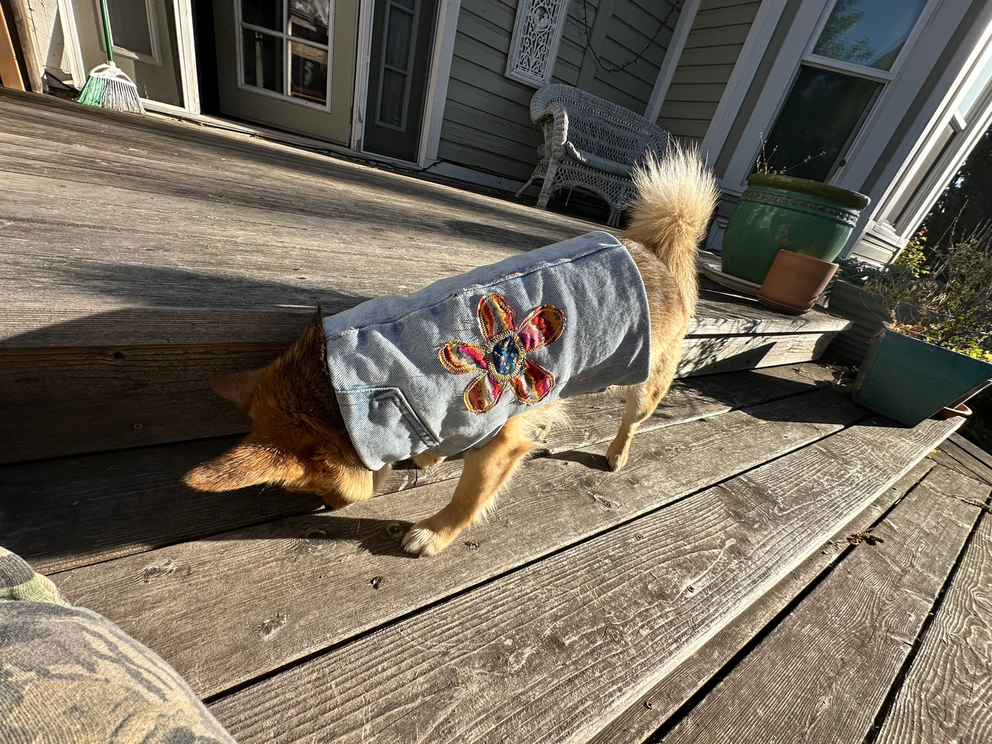 DRE DOG Reversible Crop Top w/Appliqué ~ Small