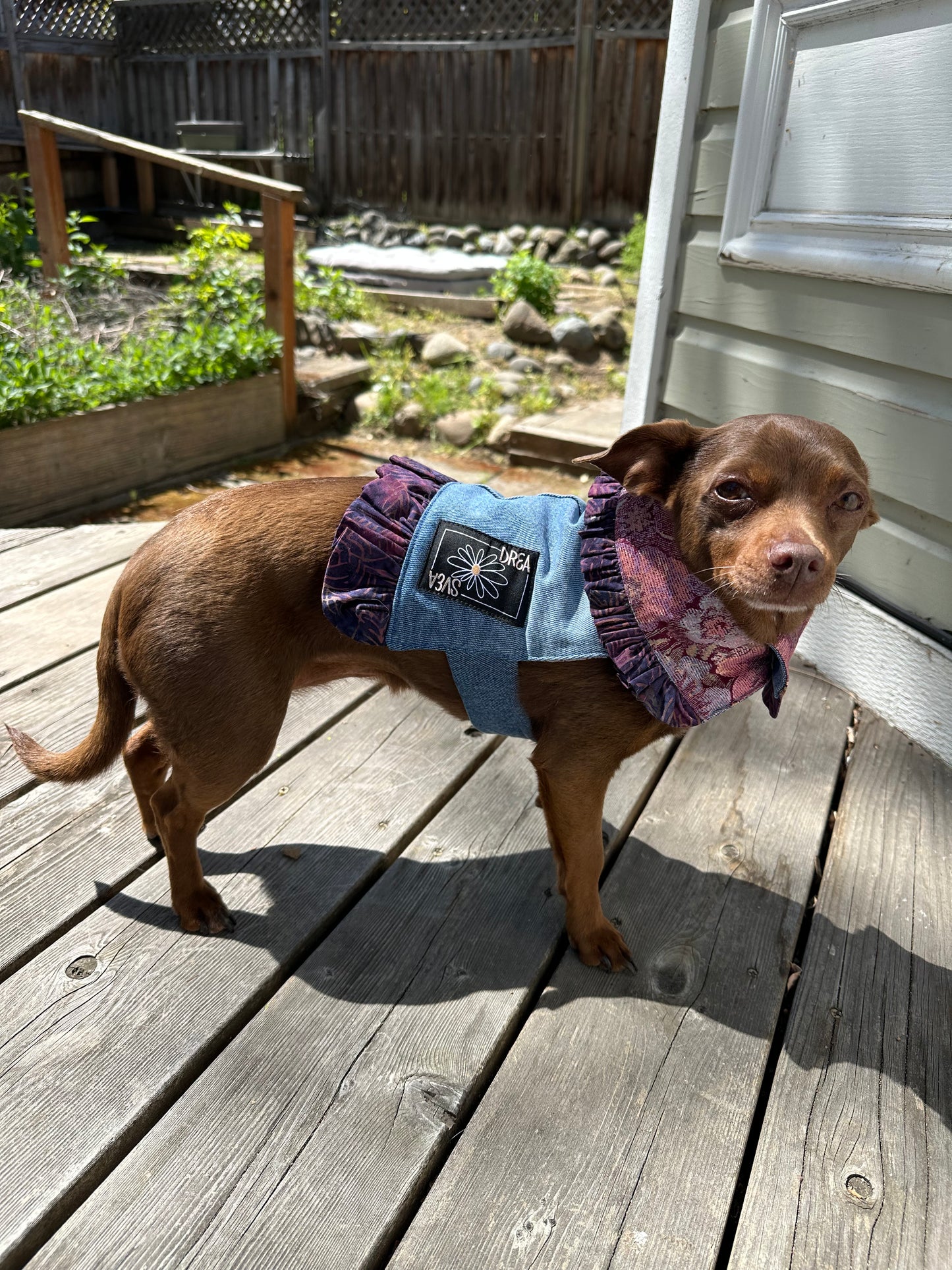 Ruffled Reversible Dog Crop Top w/Swag Collar ~ Xsmall