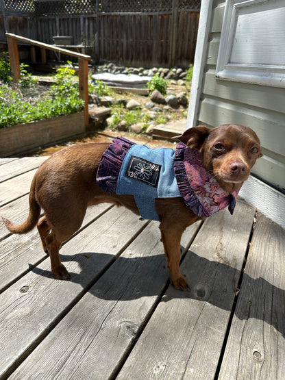 Ruffled Reversible Dog Crop Top w/Swag Collar ~ Xsmall