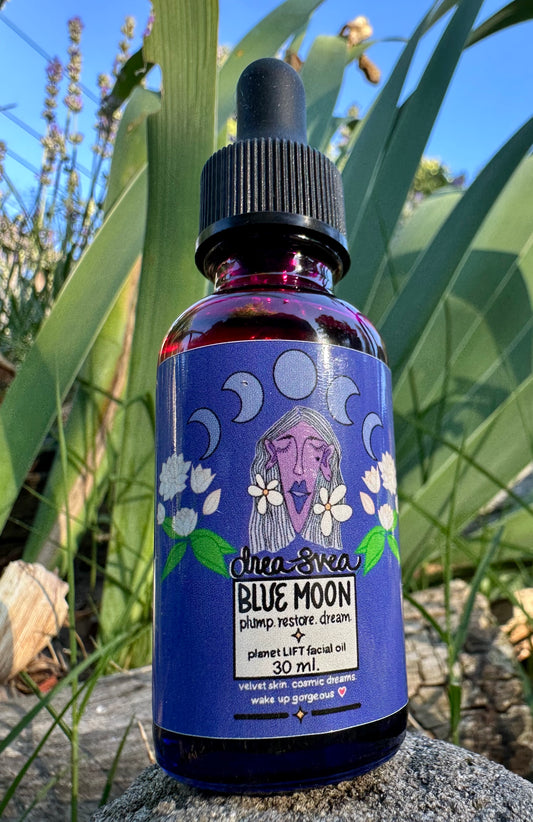 🌙 Blue Moon | Evening Facial Oil ~ Blue Lotus + Jasmine