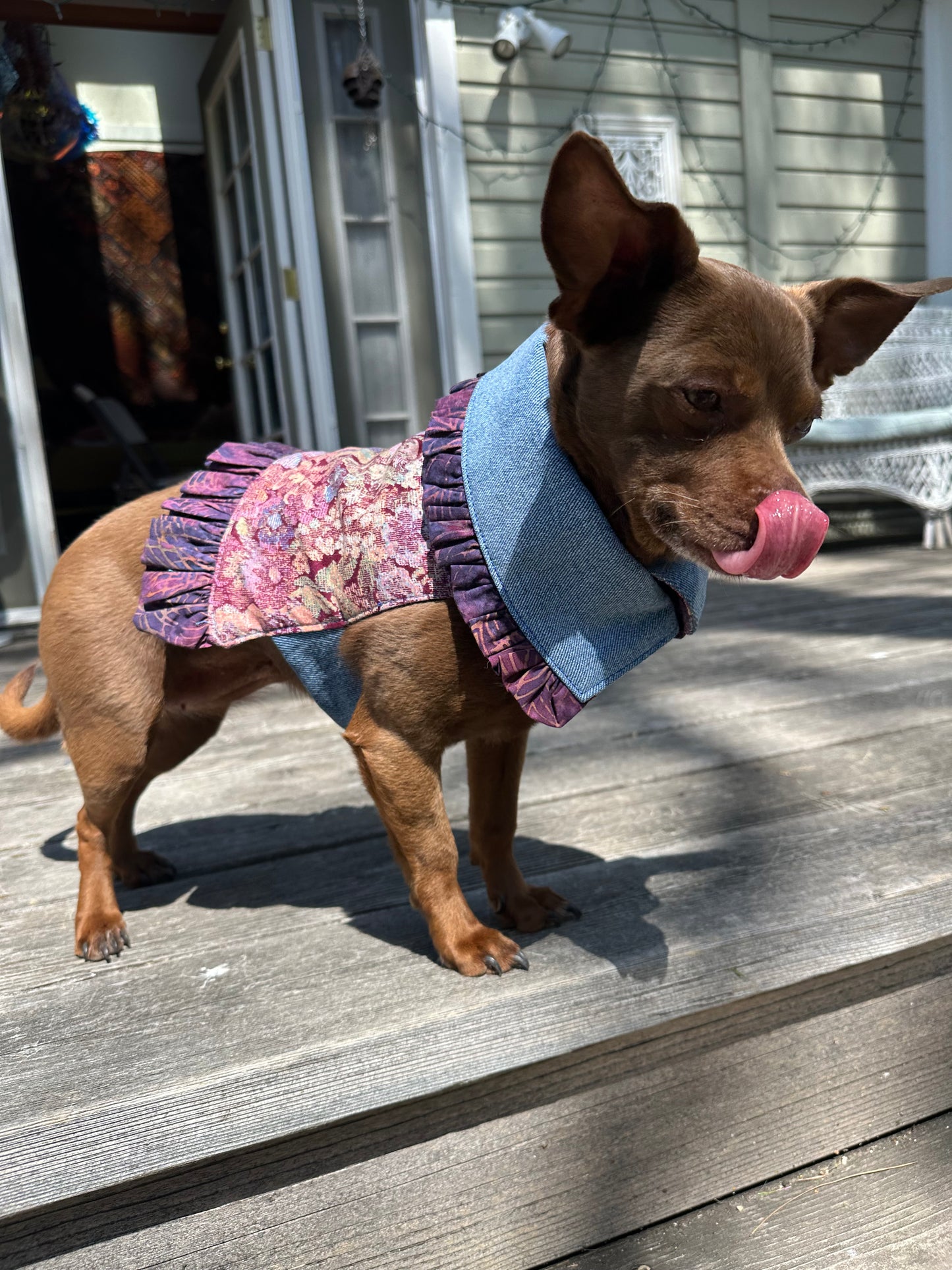 Ruffled Reversible Dog Crop Top w/Swag Collar ~ Xsmall