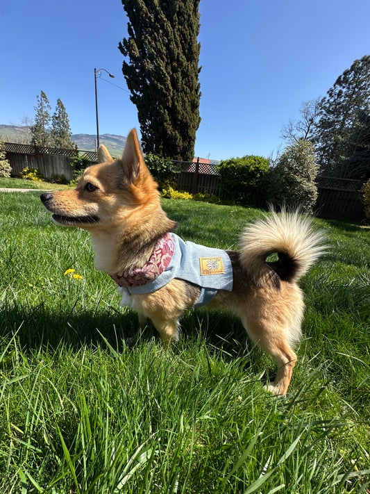 DRE DOG Reversible Crop Top ~ Small