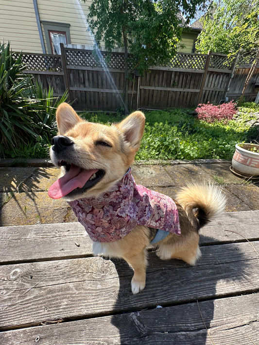 DRE DOG Reversible Crop Top w/Appliqué ~ Small