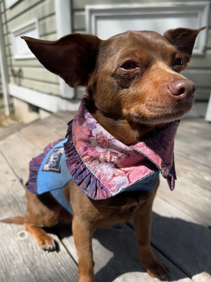 Ruffled Reversible Dog Crop Top w/Swag Collar ~ Xsmall