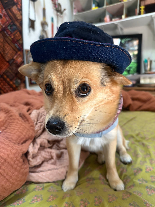 DRE DOG Bucket Hat w/Ear Holes ~ Small