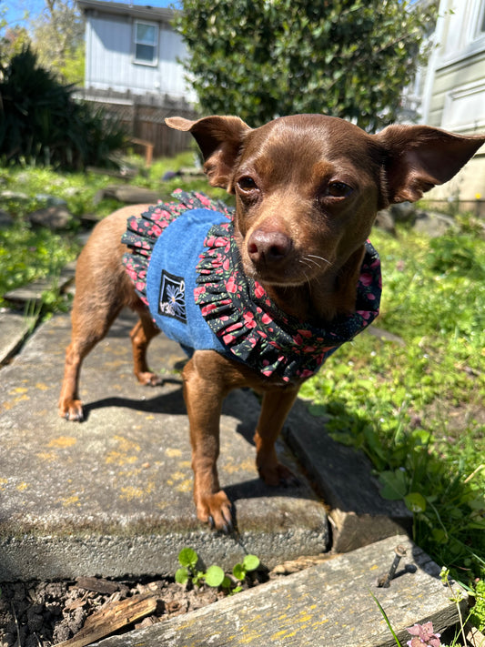 Ruffled Reversible Dog Crop Top w/Swag Collar ~ Xsmall