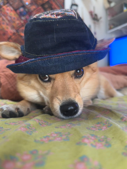 DRE DOG Bucket Hat w/Ear Holes ~ Small