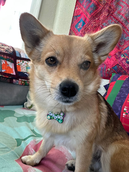 Fetch Dog Tag
