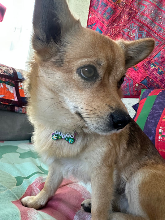 Fetch Dog Tag