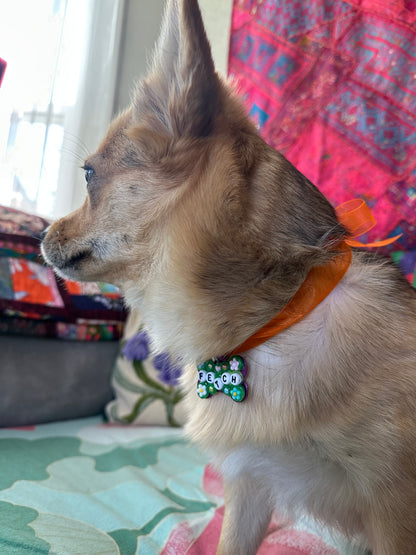 Fetch Dog Tag