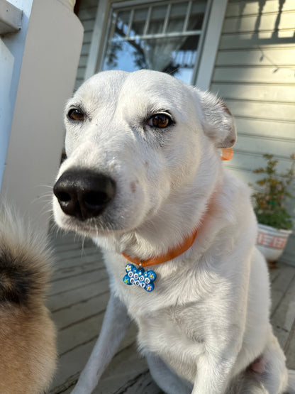 GOOD BOY Dog Tag