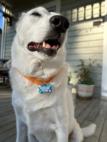 GOOD BOY Dog Tag