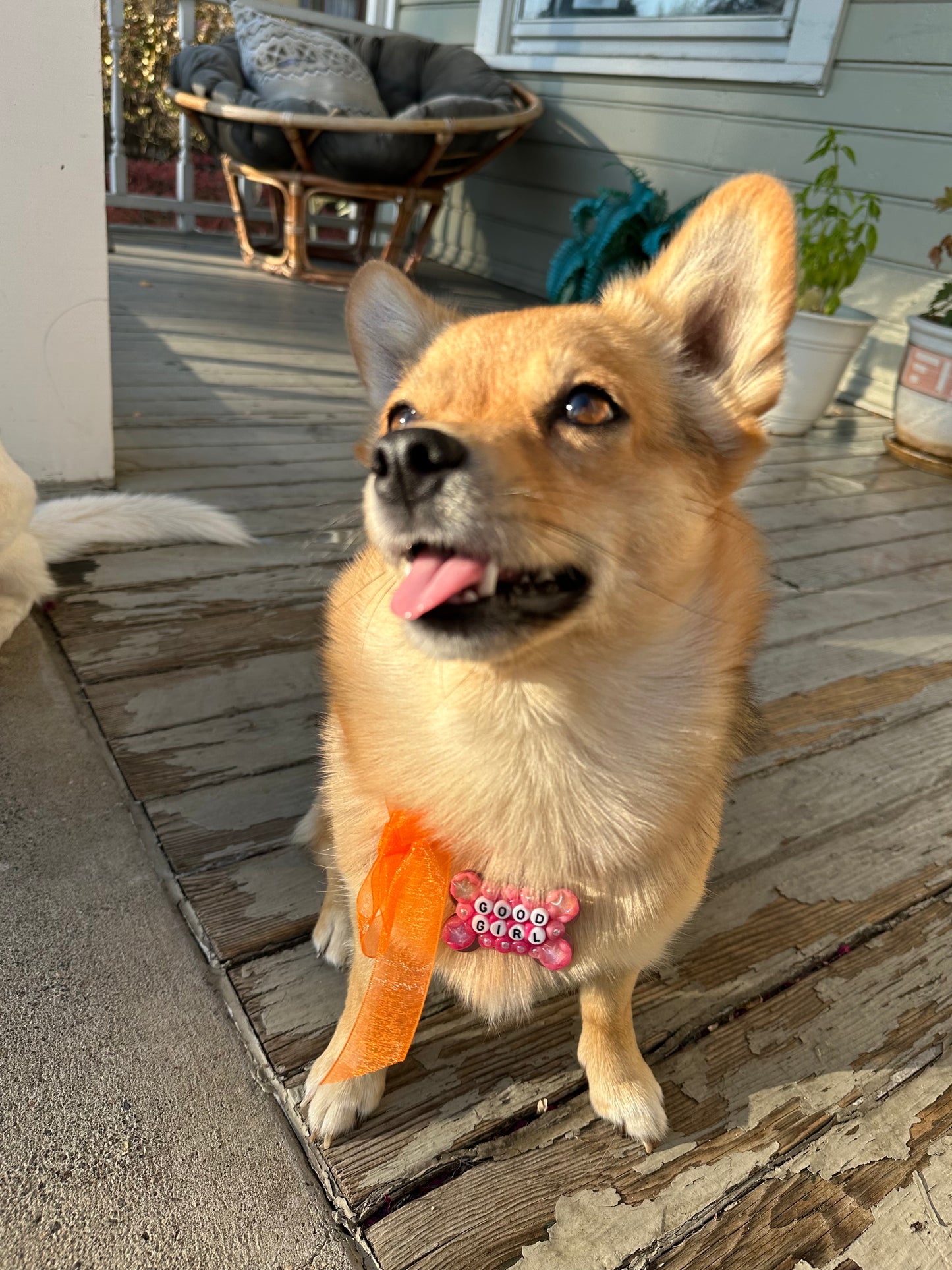 GOOD GIRL Dog Tag