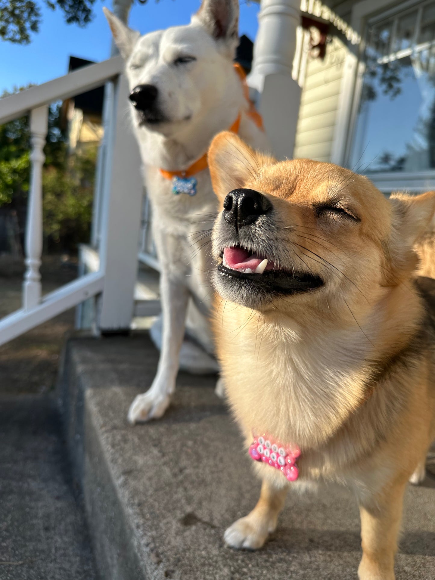 GOOD GIRL Dog Tag