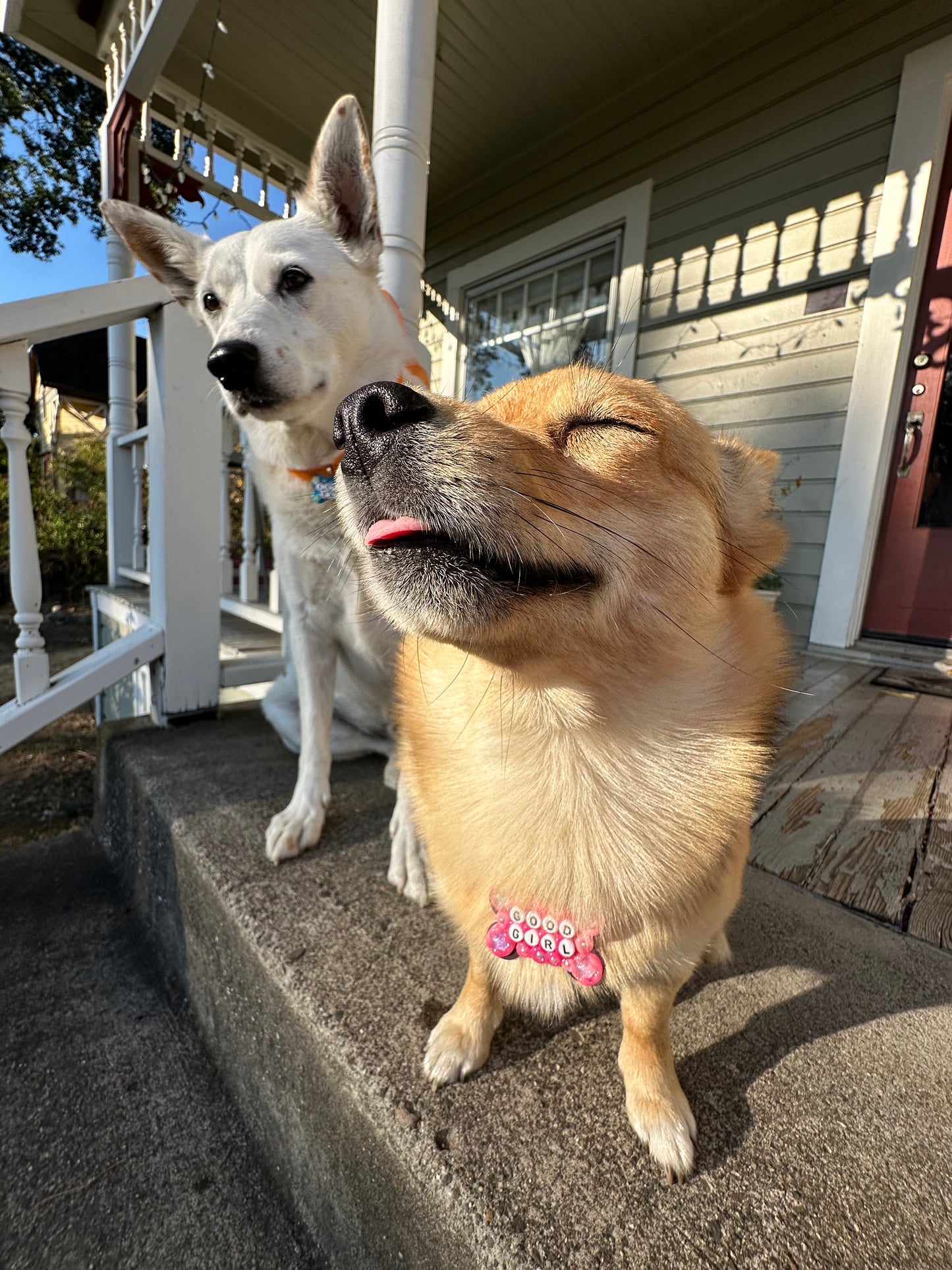 GOOD GIRL Dog Tag