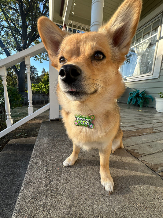 SUGAR BABY Dog Tag