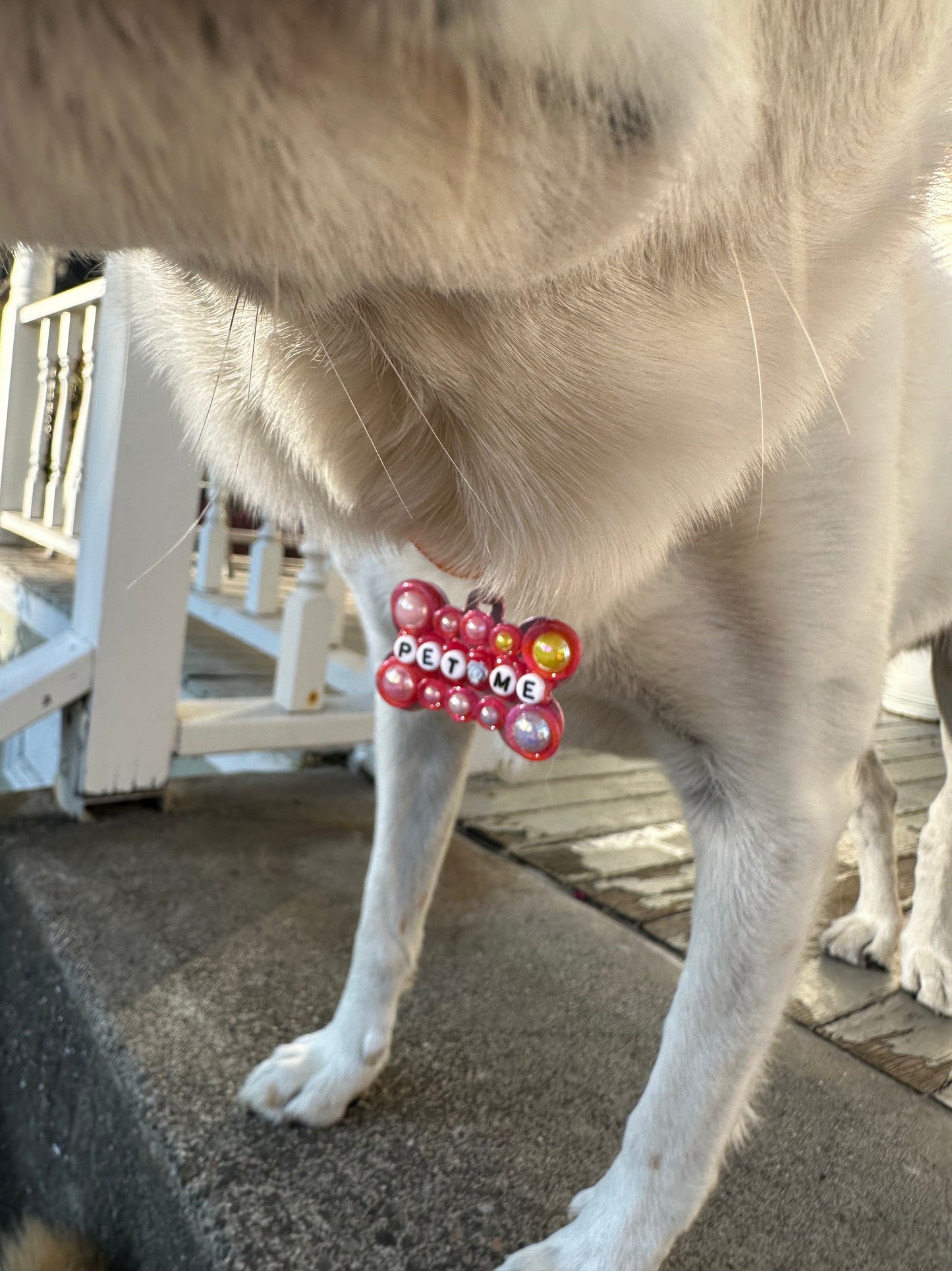 PET ME Dog Tag