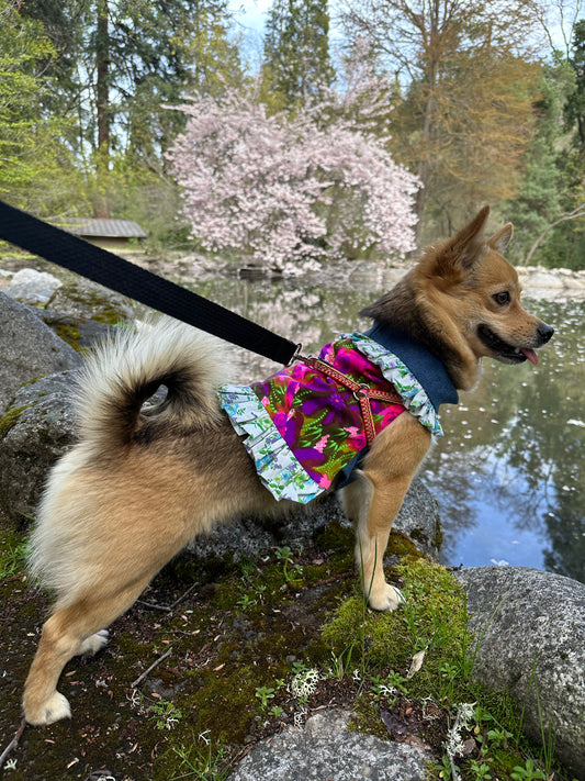 Ruffled Reversible Dog Crop Top w/Swag Collar ~ Small