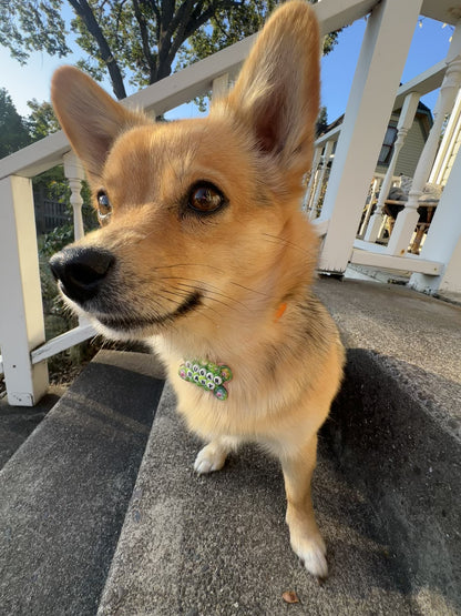 SUGAR BABY Dog Tag