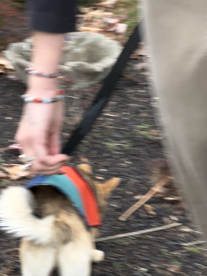 DRE DOG REVERSIBLE COAT