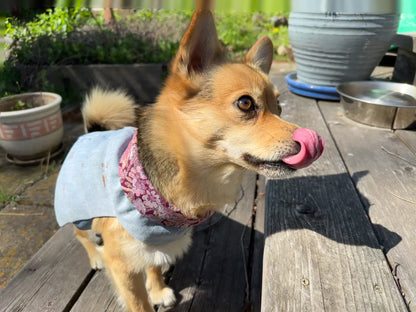 DRE DOG Reversible Crop Top ~ Small